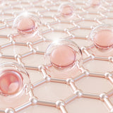 3. The Protein Cannibalization